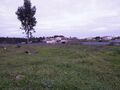 -210909146_IDde7b7601-0000-0500-0000-00001264d2df.jpg
