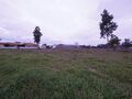-210909146_IDde7b7601-0000-0500-0000-00001264d2e4.jpg