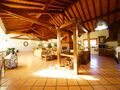 -210939654_IDa9417601-0000-0500-0000-0000126a5199.jpg