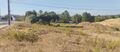 -211462672_ID134a8101-0000-0500-0000-000013add4ea.jpg