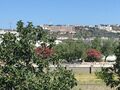 -211652642_IDed4f8501-0000-0500-0000-000014171725.jpg