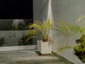 -212139289_IDdca98501-0000-0500-0000-0000149ee0a4.jpg