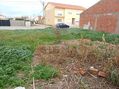 -706169780_iqy77dmr4h705h73.jpg
