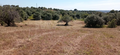 -33043490_1920x886_136.webp