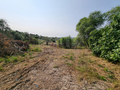 -33043490_wm-cafcbed1c2-4dcaa63987.webp