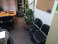 -33055272_wm-14d88f8a30-4dcaa63987.webp