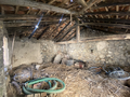 -33057047_wm-e1ffa30a83-4dcaa63987.webp