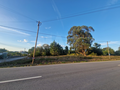 -33057287_wm-503331bee2-4dcaa63987.webp