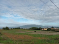 -33057714_wm-137fe06c1e-4dcaa63987.webp