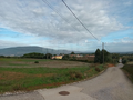 -33057714_wm-228933e353-4dcaa63987.webp