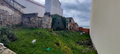 -33058232_wm-484a098665-4dcaa63987.webp