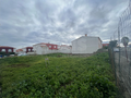 -33058505_wm-7733f4ef41-4dcaa63987.webp