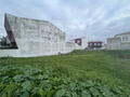 -33058505_wm-89d47a02e7-4dcaa63987.webp