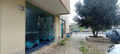 -33058531_wm-db35b99c98-4dcaa63987.webp