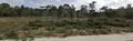 -33058650_wm-9514672cbd-4dcaa63987.webp
