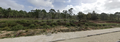 -33058671_wm-14d60a9fe3-4dcaa63987.webp