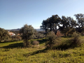 -33058785_1920x1440_43.webp