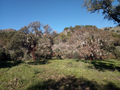-33058785_wm-47ed3e2392-4dcaa63987.webp
