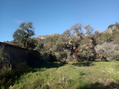 -33058785_wm-664a0cf4b2-4dcaa63987.webp