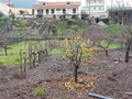 -33058901_wm-ac7dbcfa01-4dcaa63987.webp