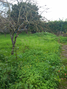 -33058943_wm-c69db3696a-4dcaa63987.webp