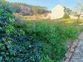 -33059002_wm-8844ae4864-4dcaa63987.webp