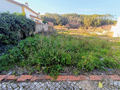-33059002_wm-dceedb242d-4dcaa63987.webp