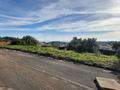 -33059192_wm-46b60a57e3-4dcaa63987.webp