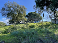 -33059350_wm-b1f372e3aa-4dcaa63987.webp