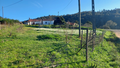 -33059367_wm-45a81c64f9-4dcaa63987.webp
