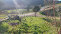 -33059367_wm-54a94b6e18-4dcaa63987.webp