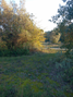 -33059557_wm-58ddb63b64-4dcaa63987.webp