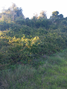 -33059561_wm-7c5309c45a-4dcaa63987.webp
