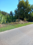 -33059564_wm-752575255a-4dcaa63987.webp