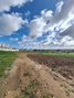 -33059673_wm-846d3f5c44-4dcaa63987.webp