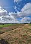 -33059673_wm-9f933966c4-4dcaa63987.webp