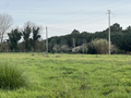 -33059678_wm-25337206b1-4dcaa63987.webp