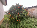 -33059678_wm-54c5fa9cf6-4dcaa63987.webp