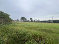 -33059678_wm-708ce77a07-4dcaa63987.webp