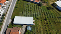 -33059678_wm-78c1946ea0-4dcaa63987.webp