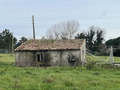 -33059678_wm-a8c09388a6-4dcaa63987.webp