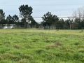 -33059678_wm-bc03ac48e8-4dcaa63987.webp