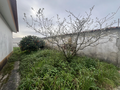 -33059678_wm-eba9ef497d-4dcaa63987.webp