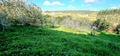 -33059925_wm-1943a9841d-4dcaa63987.webp