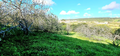 -33059925_wm-3559ce1434-4dcaa63987.webp