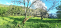 -33059925_wm-bd3264eb16-4dcaa63987.webp