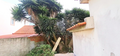 -33059926_wm-d09b39e546-4dcaa63987.webp
