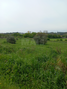 -33059981_wm-265761955c-4dcaa63987.webp