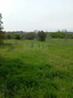 -33059981_wm-3f85013385-4dcaa63987.webp