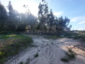 -33059982_wm-c4b2629564-4dcaa63987.webp
